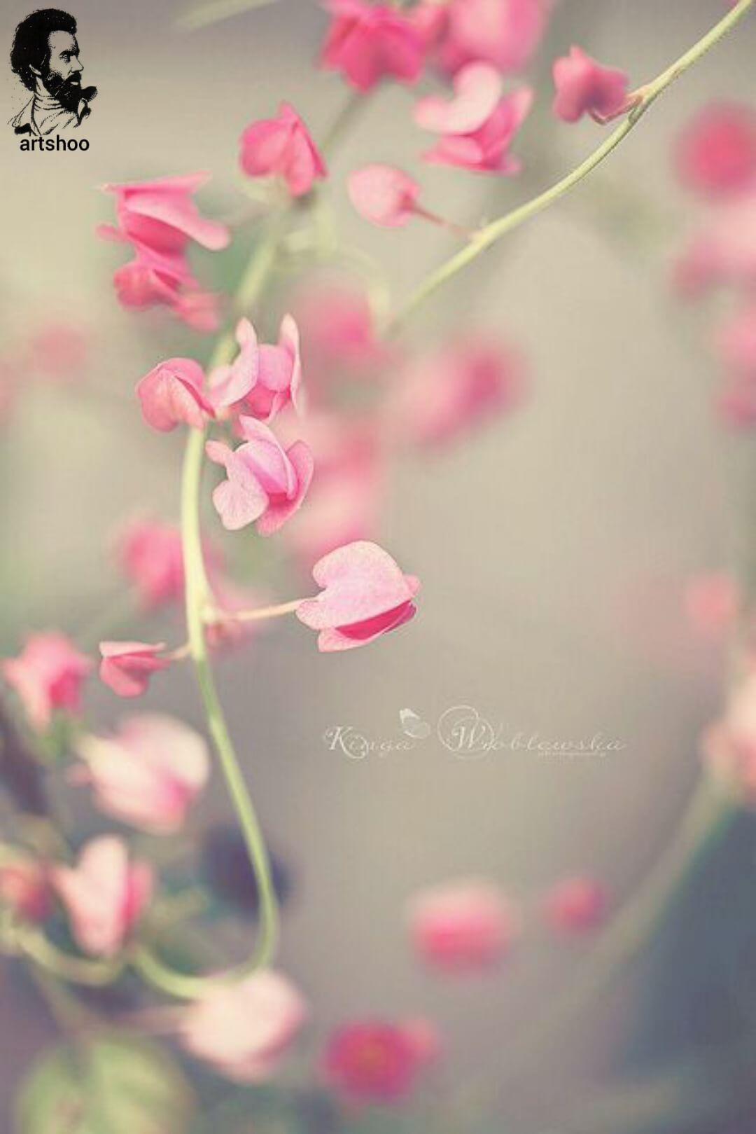 آموزش نقاشی رنگ روغن